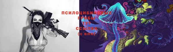 гидра Абинск