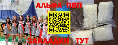 шишки Кингисепп
