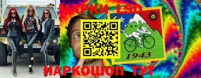spice Кимры
