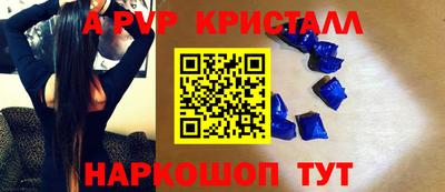 шишки Кингисепп