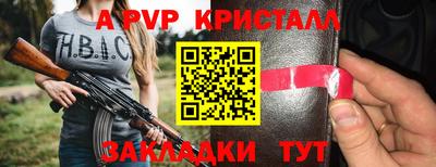 шишки Кингисепп