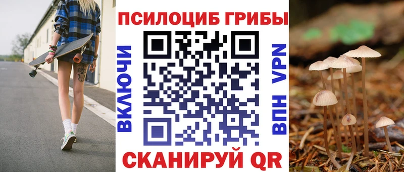 цена наркотик  ссылка на мегу вход  Галлюциногенные грибы Magic Shrooms  Лесозаводск 