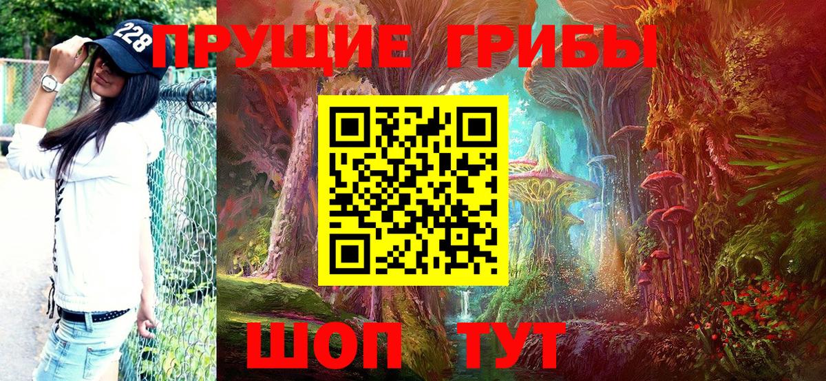 Лесозаводск  Галлюциногенные грибы GOLDEN TEACHER  Вход с VPN 